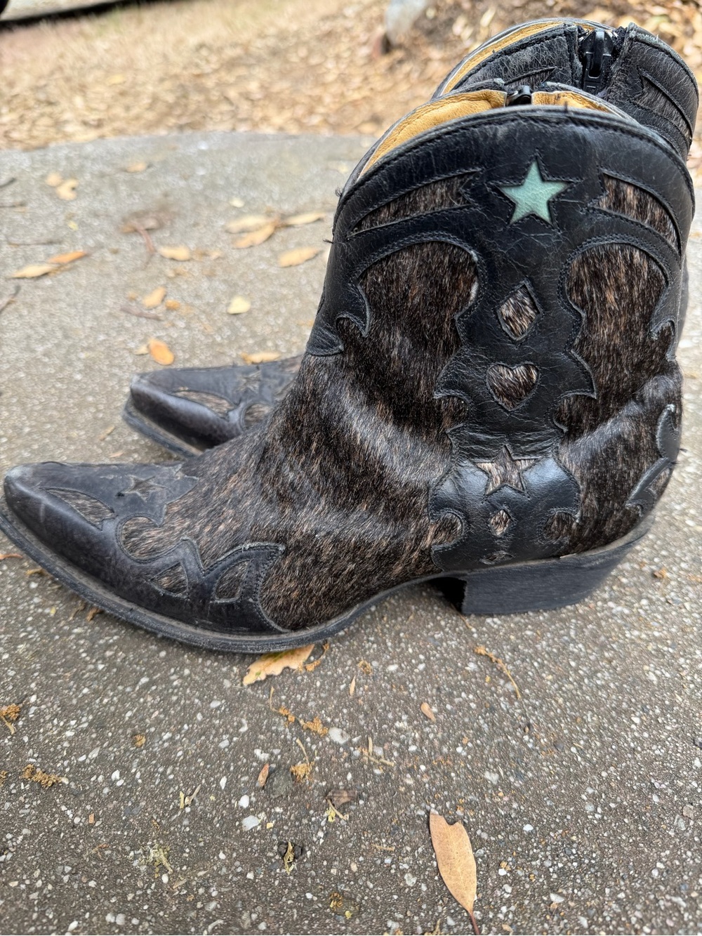 Old Gringo Black Hair-on-Hide Star Accent Ankle Booties - Picture 4 of 6